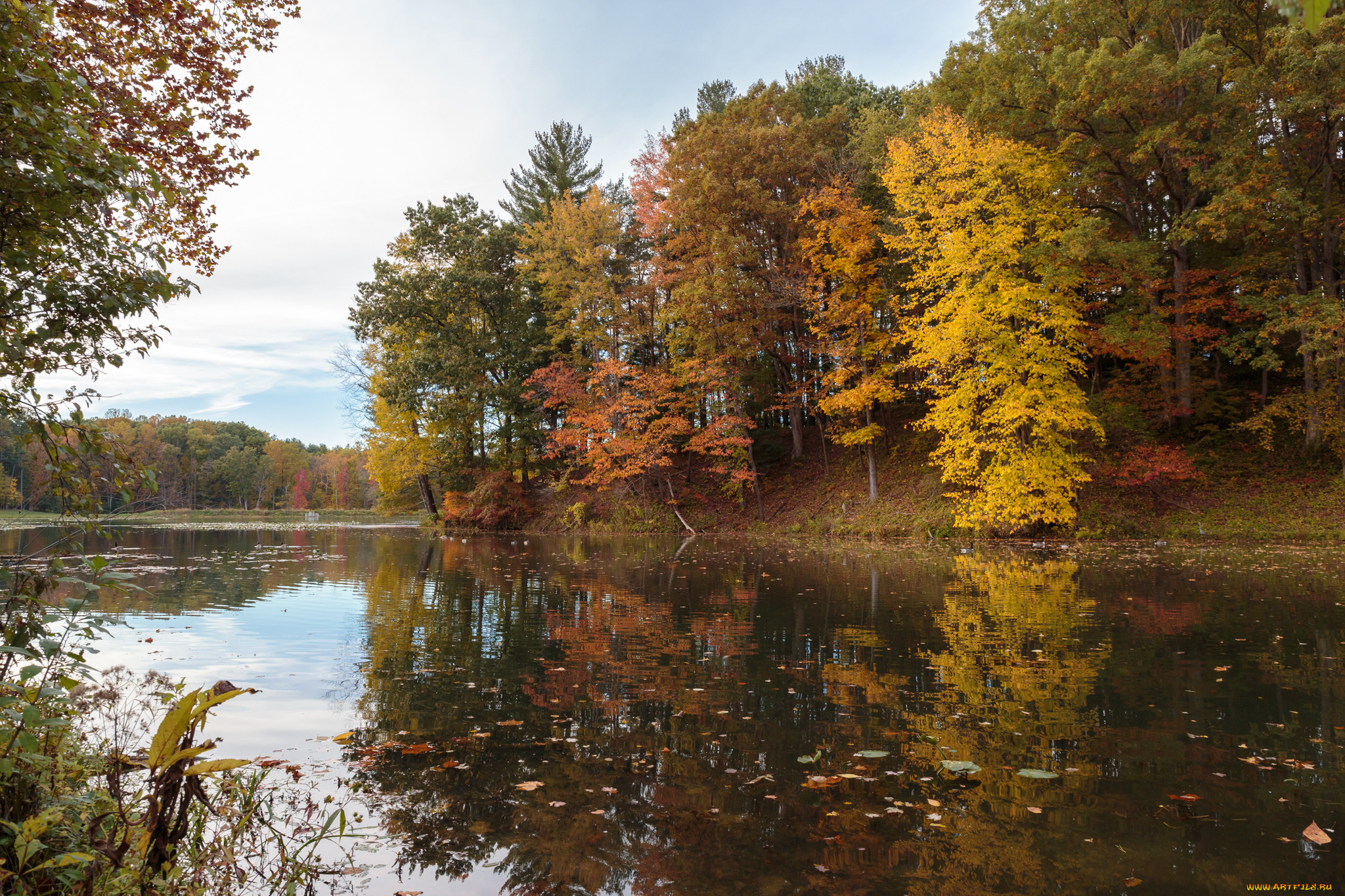Осенний лес с рекой горизонтально